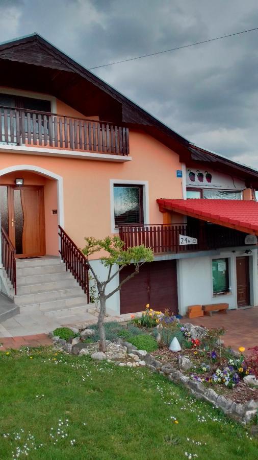 Studio Apartman Safaric Sveti Martin Na Muri Buitenkant foto