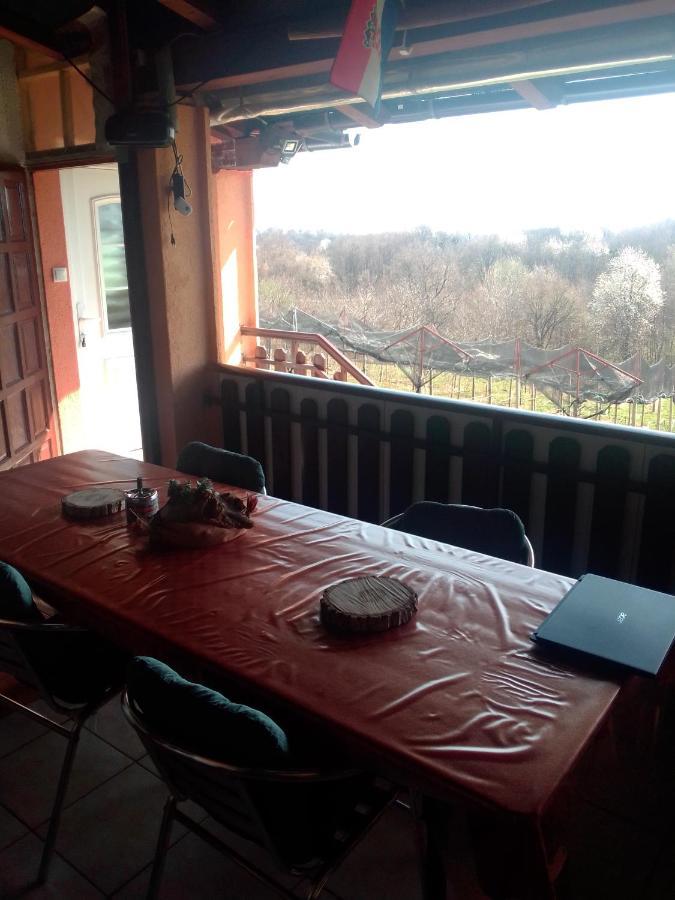Studio Apartman Safaric Sveti Martin Na Muri Buitenkant foto