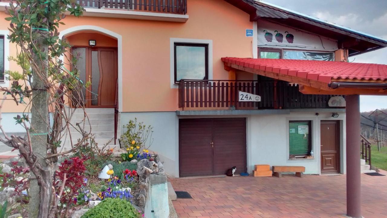 Studio Apartman Safaric Sveti Martin Na Muri Buitenkant foto