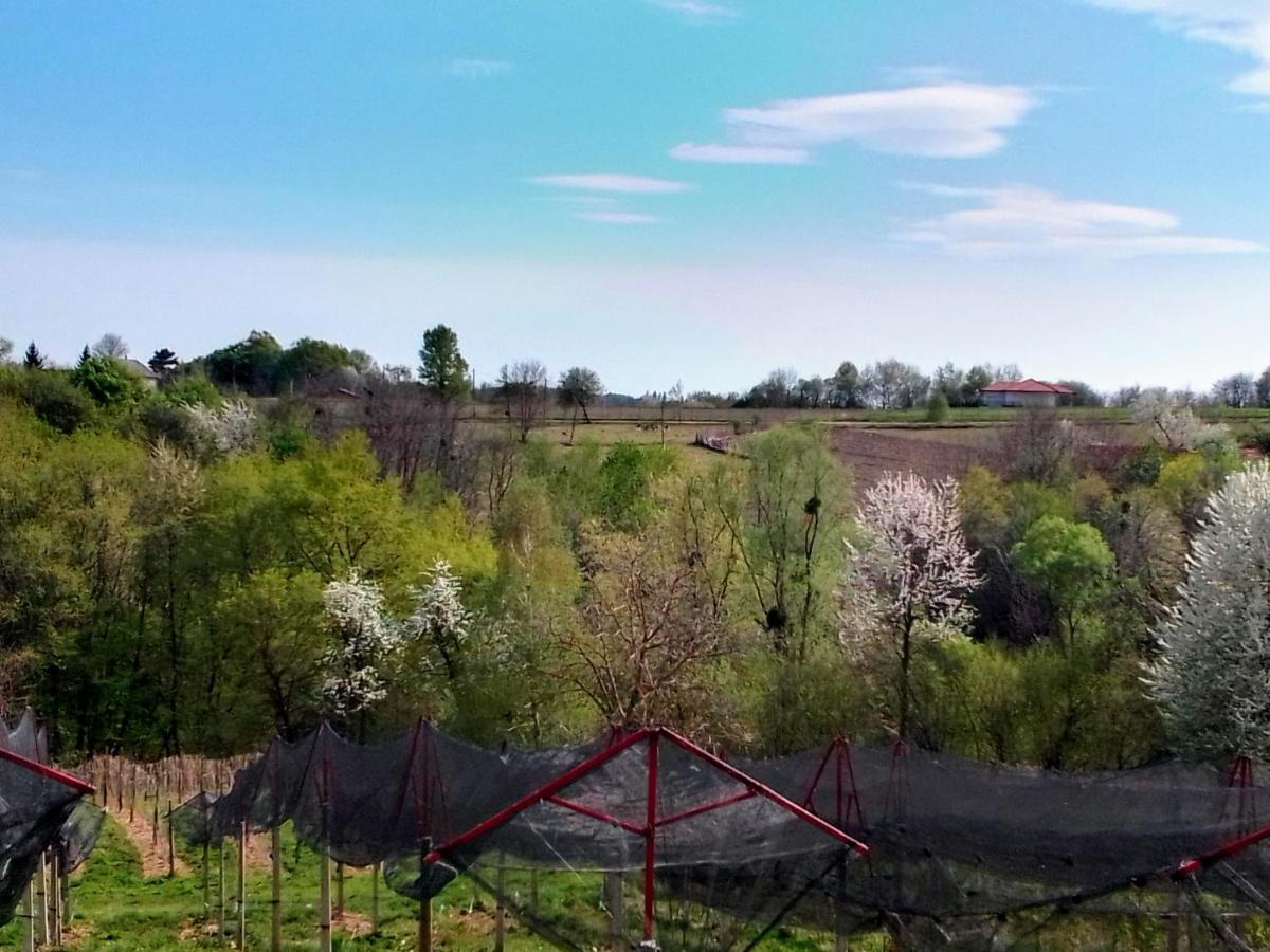 Studio Apartman Safaric Sveti Martin Na Muri Buitenkant foto
