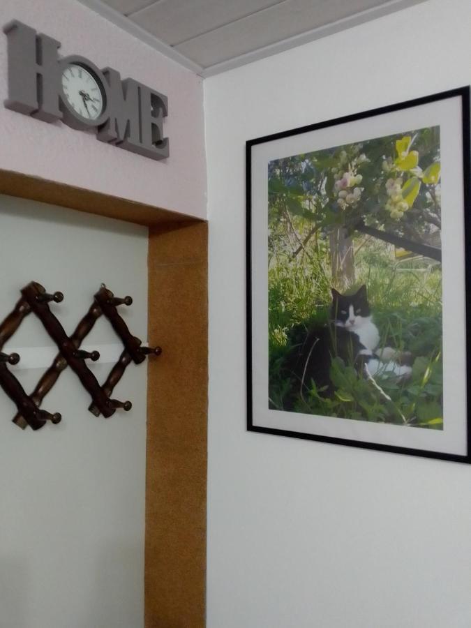 Studio Apartman Safaric Sveti Martin Na Muri Buitenkant foto