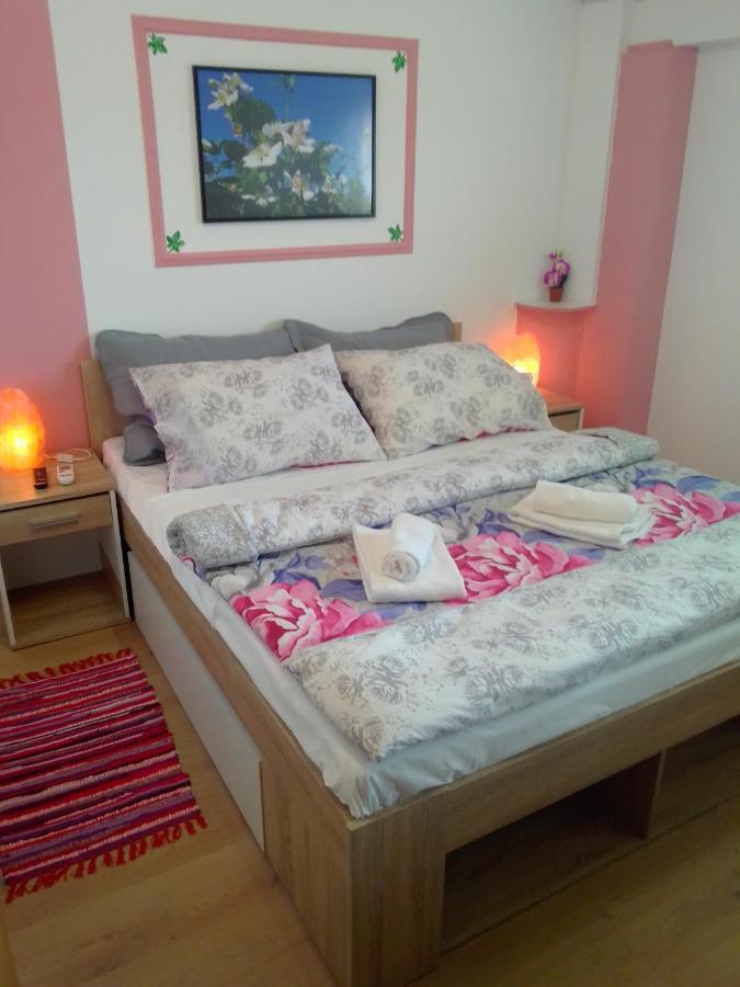 Studio Apartman Safaric Sveti Martin Na Muri Buitenkant foto