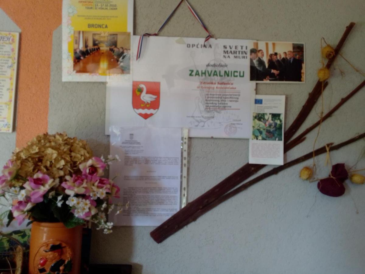 Studio Apartman Safaric Sveti Martin Na Muri Buitenkant foto
