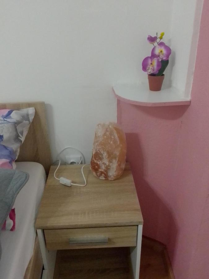 Studio Apartman Safaric Sveti Martin Na Muri Buitenkant foto
