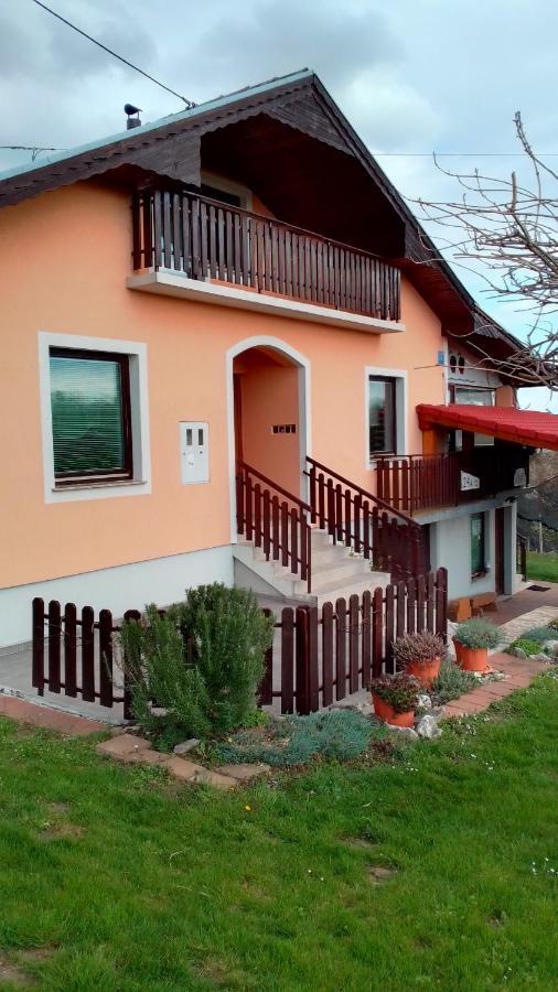 Studio Apartman Safaric Sveti Martin Na Muri Buitenkant foto